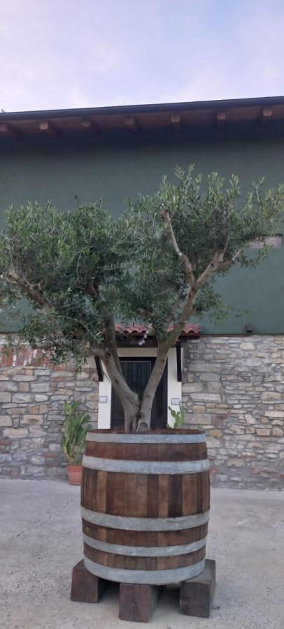 1929 Wine Food Relax Agriturismo 阿奎泰尔梅 外观 照片