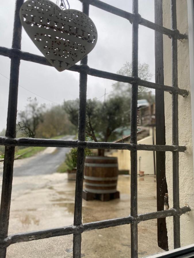 1929 Wine Food Relax Agriturismo 阿奎泰尔梅 外观 照片