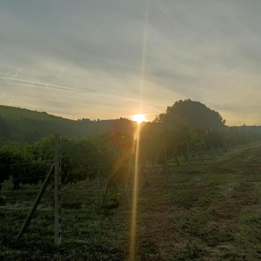 1929 Wine Food Relax Agriturismo 阿奎泰尔梅 外观 照片