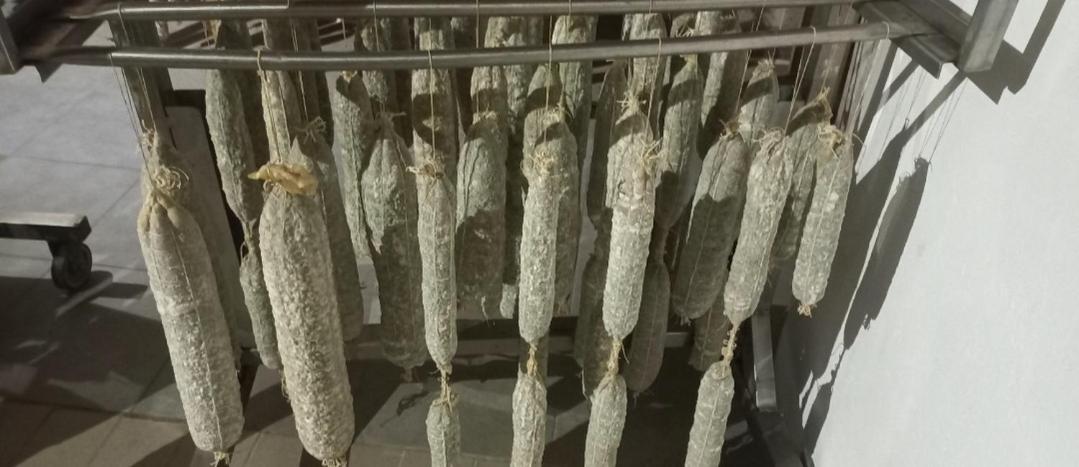 1929 Wine Food Relax Agriturismo 阿奎泰尔梅 外观 照片