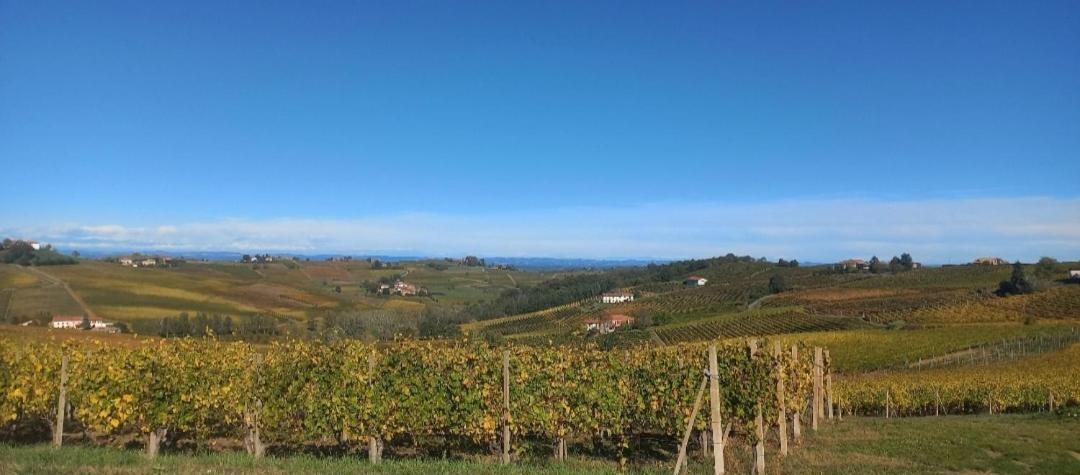 1929 Wine Food Relax Agriturismo 阿奎泰尔梅 外观 照片