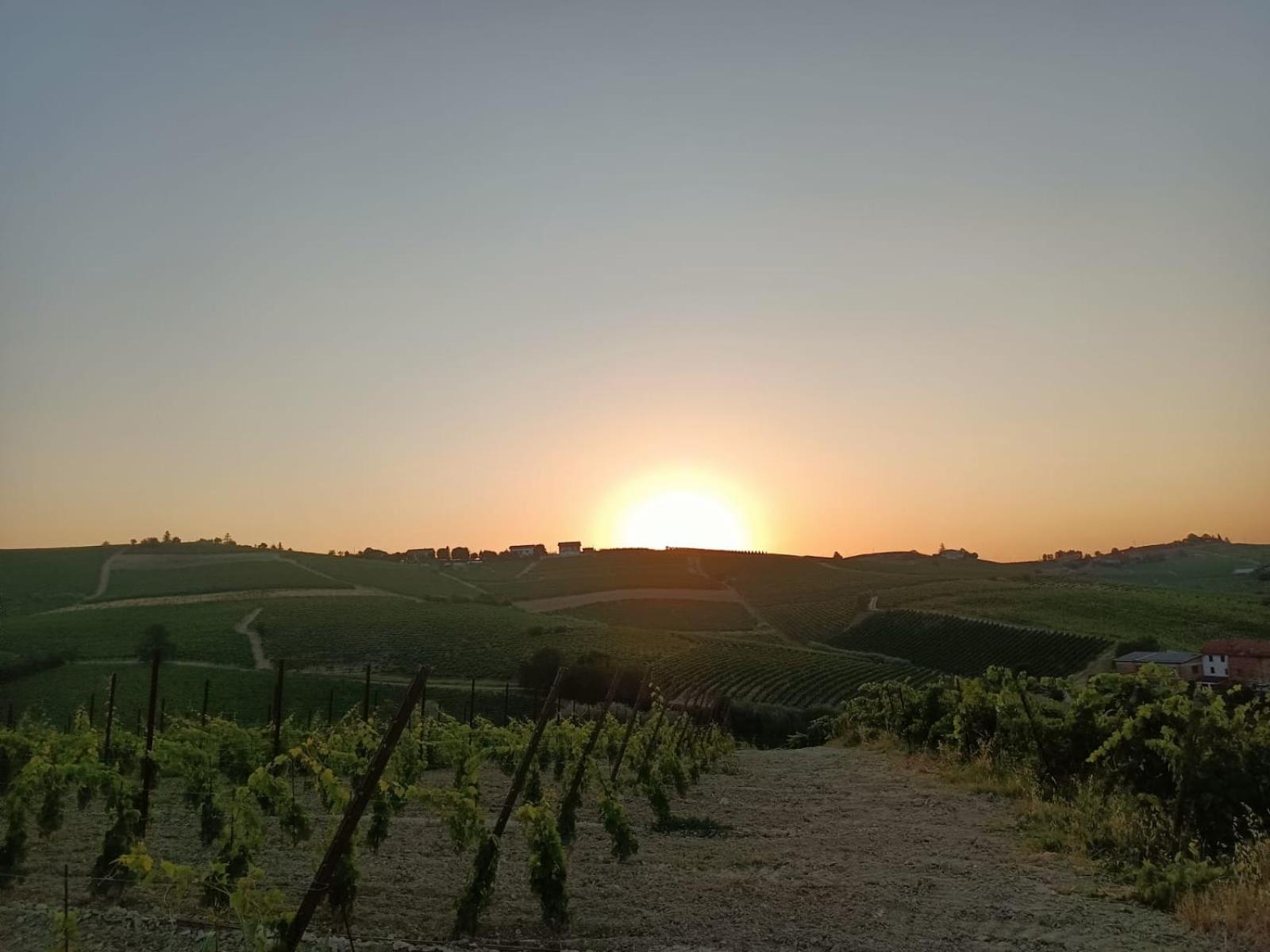 1929 Wine Food Relax Agriturismo 阿奎泰尔梅 外观 照片