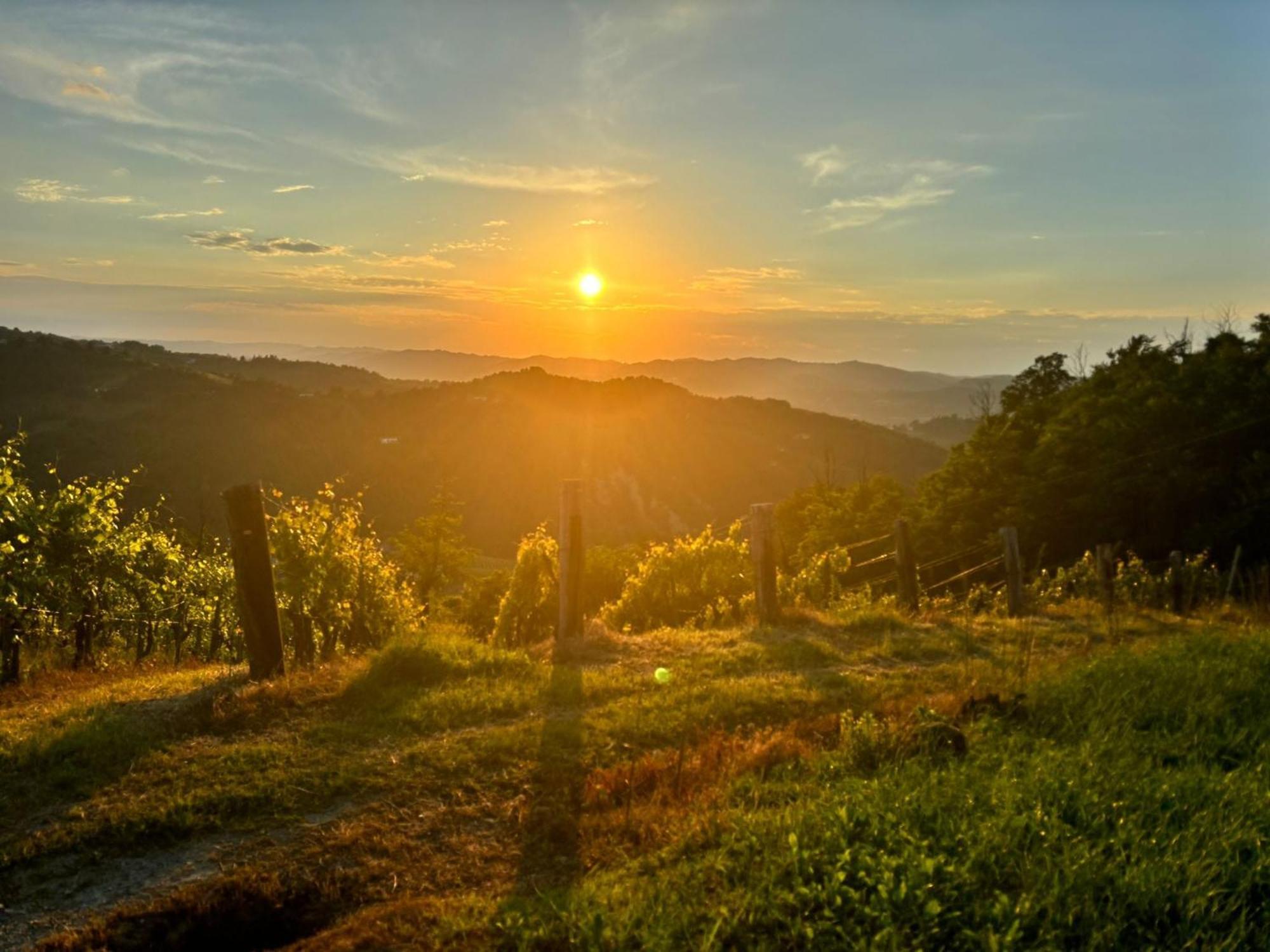 1929 Wine Food Relax Agriturismo 阿奎泰尔梅 外观 照片